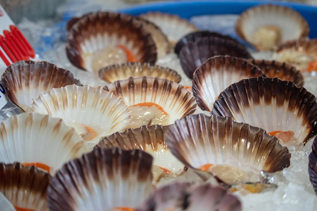 clams, seafood, market, sale, food, brown sales, brown market, clams, clams, clams, clams, clams, seafood, seafood, seafood. Reviewing food truck products: strengths, gaps and a verdict