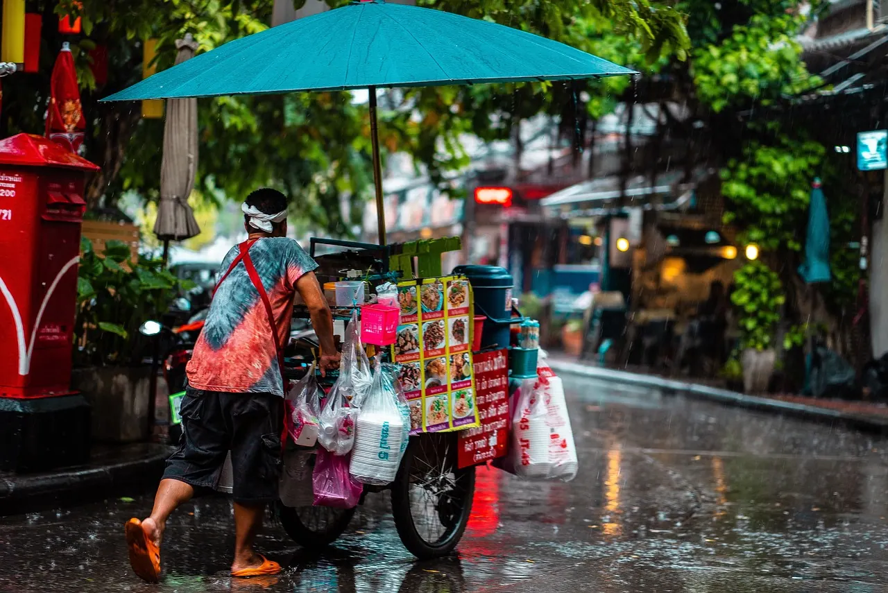 man, cart, street food, culture, nature, rain, umbrella, puddle, weather, wet, city