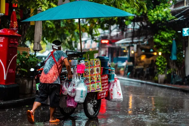 man, cart, street food, culture, nature, rain, umbrella, puddle, weather, wet, city